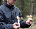 Bild: hm
Pilzsachverständiger Stefan Hartwig konnte bei der Pilzwanderung rund 50 verschiedene Pilzarten bestimmen.