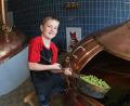 Bild: bmr
Juniorchef Luis packt schon kräftig mit an im Sudhaus: Erstmals darf er den frischen Holledauer Hopfen in den Fuchsbeck-Sudkessel schütten.