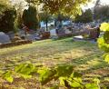 Bild: sm
Diese freie Fläche im östlichen Bereich des Haberländer Friedhofes will die Gemeinde für Urnengräber nutzen.
