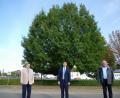 Bild: Portner, Gertraud
Bürgermeister Rudolf J. Teplitzky (Mitte) lud seine Amtsvorgänger Heinz Weigl (rechts) und Wilfried Neuber (links) zur Friedenseiche beim Feuerwehrhaus ein. Diese wurde vor 30 Jahren am „Tag der Deutschen Einheit“ gepflanzt.