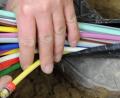 Symbolbild: Peter Kneffel/dpa
Dank Glasfaserkabeln soll das Internet in den Weidener Schulen an Geschwindigkeit zulegen.