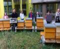 Bild: Dobmeier
Eine Bienenstockwaage überreicht von Christian Wolf (Dritter von links) ermöglicht neue Erkenntnisse beim Schulbienenprojekt an der Sophie-Scholl-Realschule.