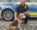 Bild: Polizei Amberg
Polizeimeister Tim Haider mit dem Fast-Food-Hund.