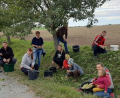 Bild: Johannes Weinberger
Gemeinsam mit ihren Helfern ernteten Projektmanagerin der Öko-Modellregion Naturparkland Oberpfälzer Wald, Cornelia Strigl (Fünfte von links), und Biodiversitätsmanager Johannes Weinberger (hinten, Dritter von rechts) die Äpfel.