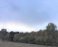 Bild: tu
Der „Wald 2000“ heute.