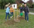 Bild: amö
Die GOV-Vorstandsmitglieder (von links) Gertraud Rötzer, Erika Krämer und Hans Kulzer (rechts), pflanzten den Baum gemeinsam mit Bürgermeister Walter Schauer.