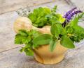 Bild: Wolfgang Filser - adobe stock
Naturmedizin mit einer Mischung von gesunden Kräutern und Heilpflanzen im Mörser