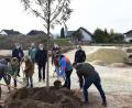 Bild: Petra Hartl
Die Robinie ist Baum des Jahres 2020. Ihr lateinischer Name ist falsche Akazie, ein passender Umstand für das neue Baugebiet "Akazienweg" in Amberg.