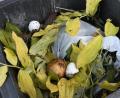 Bild: Petra Hartl
Eine nicht unbeträchtliche Menge Plastik landet seit einiger Zeit im Amberger Biomüll, berichtet Matthias Seuffert vom städtischen Umweltreferat.