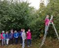 Bild: Grundschule Plößberg/exb
Die Zweitklässler der Grundschule Plößberg bei der Apfelernte.