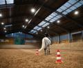 Bild: Simone Thurn/exb
Blick in die Reithalle des RV Vordorf-Wunsiedel.