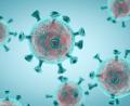 Bild: dowell
coronavirus,3d render