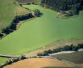 Archivbild: mür
Seit etlichen Jahren gibt es regelmäßig – vor allem im Sommer bei hohen Temperaturen – eine Blaualgenplage im Liebensteiner Stausee. Das Luftbild des Liebensteinspeichers entstand im August diesen Jahres.