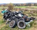 Bild: ppz
Mitten in der Natur haben Umweltsünder Altreifen abgelagert.