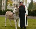 Bild: Ferdinand Sperber
Pater Dr. Gabriel Lobendanz im Klostergarten mit einem Esel, in Anlehnung an die Gründungslegende des Klosters Waldsassen. Am Donnerstag, 5. November, feiert der frühere Spiritual der Zisterzienserinnen-Abtei, der jetzt in Innsbruck lebt, seinen 80. Geburtstag.