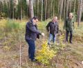 Bild: Michael Weiß/exb
Bei einer Ortsbegehung im Waldstück nahe der Industriestraße machte sich Bürgermeister Thomas Falter (links) selbst ein Bild vom Stand des Waldumbaus. Seitens der Gemeinde sind stellvertretender Bauhofleiter Johann Strasser (Mitte) und Armin Kellermann aus dem Rathaus (rechts) für die Koordination der Maßnahmen zuständig.