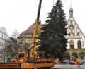 Bild: Petra Hartl
Der Amberger Weihnachtsbaum.