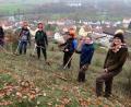 Bild: Hirsch
Studierende der Landwirtschaftsschule Nabburg machten sich an den Hängen des Münchshofener Berges mit Freischneidern und Rechen an die Arbeit. Begleitet wurden sie von Lehrerin Patricia Steinbauer (rechts) sowie Markus Kurz (links) und Christian Weiß (Zweiter von links) vom Landschaftspflegeverband und vom Maschinenring.