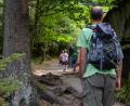 Bild: Florian Miedl/fph
Einheimische und Auswärtige sollen sich auf einen hohen Standard der Wanderwege verlassen können.
