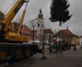 Bild: ws
Die Tirschenreuther Christbaum wurde am Montag aufgestellt.