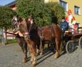 Bild: dob
Mit den süddeutschen Kaltblütern "Max" und "Gustl" von Otto Peugler wird der Nikolaus (Heinrich Rewitzer) am Namensfest des Heilligen heuer durch die Stadt ziehen und nicht nur Kinderaugen zum Glänzen bringen.