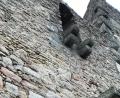 Bild: cr
Deutlich sind die Halterungen für den Abort- oder Abtritterker an den Außenmauern der Burg Leuchtenberg noch zu sehen.