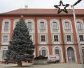 Bild: Wolfgang Steinbacher
Der Weihnachtsbaum am Marktplatz in Neustadt ist mit 300 Lichtern geschmückt. Sie leuchten ab dieser Woche.