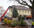Bild: fvo
Die blaue Weihnachts - Stechfichte „schwebt“ am Waldthurner Marktplatz ein.