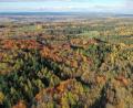 Bild: Bayerische Staatsforsten/exb
Bunt gefärbt hat der Herbst Wälder aus Buche und Edellaubhölzern im Forstrevier Groschlattengrün des Forstbetriebs Waldsassen.