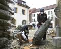 Bild: Petra Hartl
In der Innenstadt von Amberg sollen 300 zusätzliche Weihnachtsbäume für mehr Kundenfrequenz sorgen. Am Dienstag wurden die Bäume geliefert und teilweise schon aufgestellt.