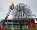 Bild: njn
Zum Abschluss der Aufstellarbeiten der Weihnachtspyramide im Stadtpark wurde der leuchtende Herrnhuter Stern gesetzt.