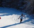 Bild: ref
Nach einem scheearmen Winter hoffen die Langläufer und die Alpinen in der Oberpfalz, dass es in diesem Jahr endlich wieder Schnee gibt.