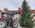 Bild: jr
Bauhof-Mitarbeiter der Gemeinde Bad Neualbenreuth haben jetzt mit Unterstützung von Josef Altnöder am Marktplatz einen Christbaum aufgestellt.