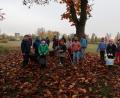Bild: Grundschule Plößberg/exb
Mit einem großen Laubhaufen bereiteten die Kinder der Klasse 2a hinter dem Schulhaus einen Winterschlafplatz für den Igel vor.