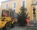 Bild: fz
Von Preppach nach Leuchtenberg verpflanzt: Der Christbaum auf dem Marktplatz