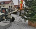 Bild: Markt Eslarn/exb
Christbaum