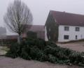 Bild: edo
Der fertig geschmückte Mooser Christbaum wurde in der Nacht auf Samstag von Unbekannten umgesägt.