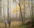 Symbolbild: Arne Dedert/dpa
So manchem drückte der Trauermonat November allein mit seinem Wetter aufs Gemüt. Wenn Kontaktbeschränkungen, Ansteckungsgefahr und die Sorge um Angehörige hinzukommen, trifft das einige Menschen besonders hart.