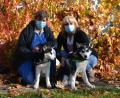 Bild: hcz
Tierheimleiterin Jutta Böhm (rechts) und Mitarbeiterin Petra Bauer mit "Blue" und "Iwan". Sie sind die letzten beiden Hunde aus einem Wurf Huskys, die vermittelt wurden, nachdem sie im Tierheim abgegeben worden waren.
