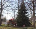 Bild: pko
Der Nikolaus hat sich mit seiner Kutsche am Kreisel bei der Schwarzachtalhalle postiert.