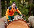 Bild: Martin Hertel/exb
Christian Schneider, Mitarbeiter am Forstbetrieb Fichtelberg vermisst einen wertvollen Lärchen-Stamm.