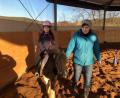 Bild: privat
Reittherapeutin Sabine Gruber auf ihrem Erlebnishof in Lückenrieth bei der Arbeit mit einer kleinen Klientin auf einem ihrer Ponys.
