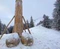 Bild: Davor Knappmayer/dpa
Eine etwa zwei Meter hohe Phallus-Skulptur aus Holz steht auf dem Berg Grünten.