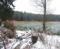 Bild: do
Der Schneidweiher soll künftig als Hochwasserrückhalt dienen. Eine Dammverstärkung soll einen weiteren Dammbruch wie links im Bild verhindern.