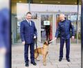 Bild: Polzeipräsidium Regensburg
Polizeihund Ratz hat für seine Arbeit eine Belohnung erhalten.