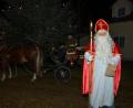 Bild: dob
Vor dem Christbaum am Altenstädter Dorfplatz beginnt der Nikolaus seine Tour mit dem Pferdegespann. "Max" und "Gustl" und Kutscher Otto Peugler sind eine echte Attraktion in der Stadt.