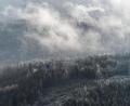 Bild: mür
Grandioser Blick auf die Burgruine Weißenstein im Steinwald.