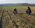 Bild: fvo
Landwirt Georg Bocka (links) und Martin Schreyer vom AELF Weiden inspizieren das Demofeld des Landwirts und die Untersaat.
