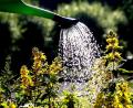 Bild: Roland Weihrauch / dpa
Auch ohne dramatische Wasserknappheit wie in Teilen Niedersachsens plädieren die Wasserversorger für einen sparsamen Umgang mit Trinkwasser. Das Motto: Rasenbewässerung nein, Gemüsegarten gießen ja.