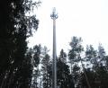 Bild: do
Ein hoher Baumbestand, wie zum Beispiel rund um den Funkmast auf dem Netzaberg bei Eschenbach, soll teilweise den Blick auf den künftigen Sendemasten im Gemeindewäldchen bei Haselhof verdecken.
